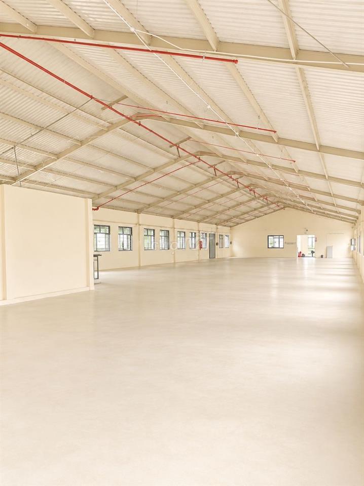 Cho thuê kho xưởng Bình Tân 3.500m², PCCC tự động, 220KVA, 330tr/th