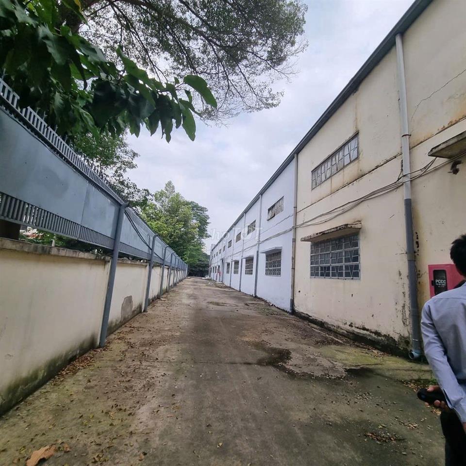 Cho thuê kho xưởng 4.200m² Mỹ Yên, Bến Lức – 300 triệu/tháng