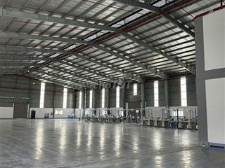Cho Thuê 2 Nhà Xưởng KCN Nam Thuận Mỹ Hạnh 9.600m², Giá 4 USD/m²