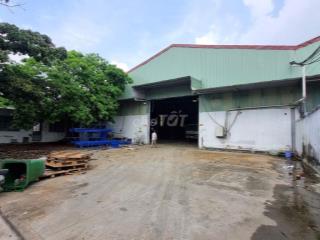 Cho Thuê Kho Xưởng 2.700m² Trần Đại Nghĩa, Bình Tân, 560kVA, 240 tr/th