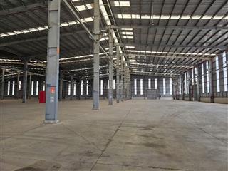 Cho thuê nhà xưởng 5.000m² KCN Kiến Thành, Cần Đước – 1.000 KVA