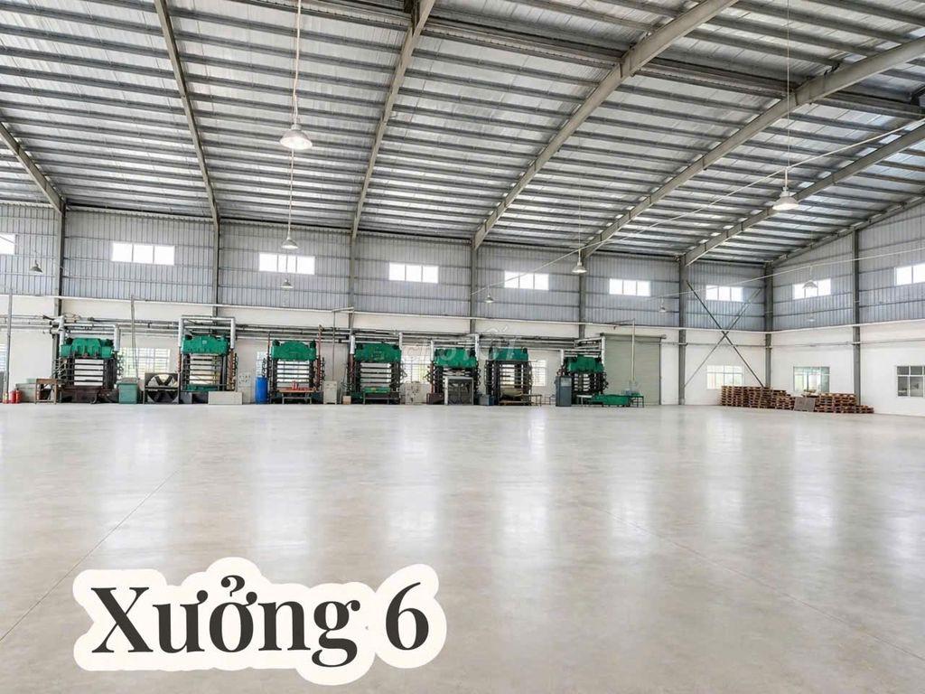 CHO THUÊ CỤM NHÀ XƯỞNG BẾN LỨC LONG AN 25.000M² – GIÁ CHỈ 2,5 USD/M²