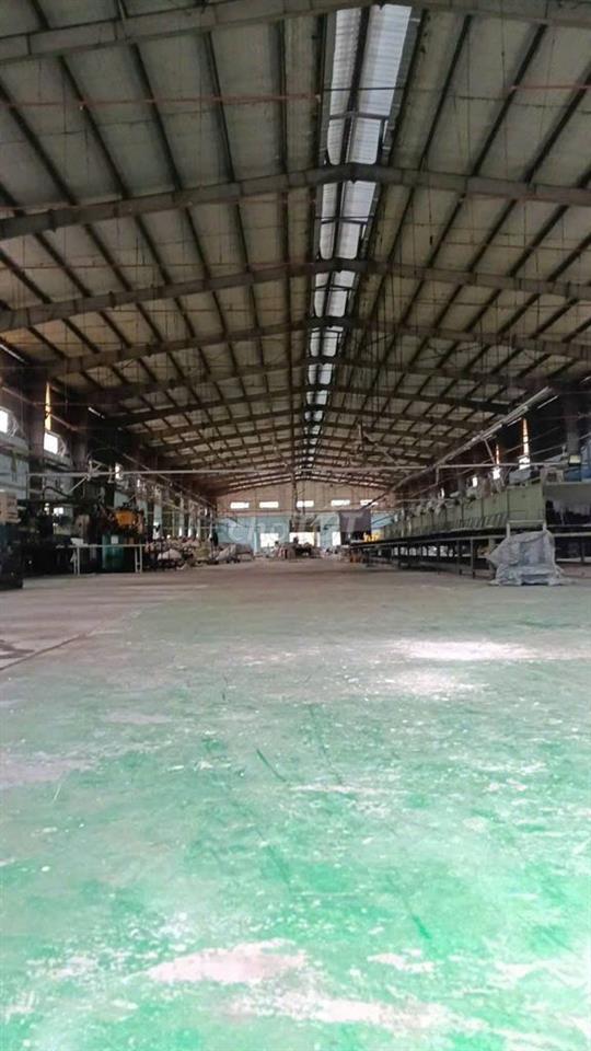 CHO THUÊ CỤM NHÀ XƯỞNG BẾN LỨC LONG AN 25.000M² – GIÁ CHỈ 2,5 USD/M²