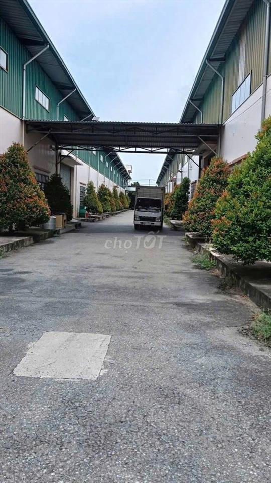 CHO THUÊ CỤM NHÀ XƯỞNG BẾN LỨC LONG AN 25.000M² – GIÁ CHỈ 2,5 USD/M²