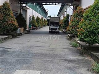 CHO THUÊ CỤM NHÀ XƯỞNG BẾN LỨC LONG AN 25.000M² – GIÁ CHỈ 2,5 USD/M²