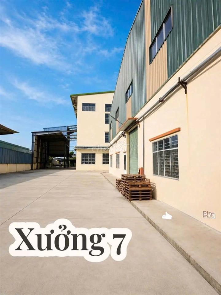 CHO THUÊ CỤM NHÀ XƯỞNG BẾN LỨC LONG AN 25.000M² – GIÁ CHỈ 2,5 USD/M²
