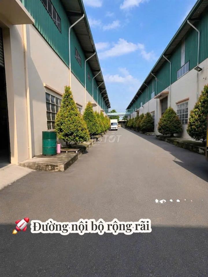CHO THUÊ CỤM NHÀ XƯỞNG BẾN LỨC LONG AN 25.000M² – GIÁ CHỈ 2,5 USD/M²