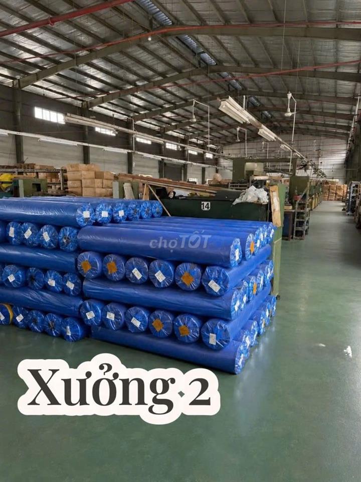 CHO THUÊ CỤM NHÀ XƯỞNG BẾN LỨC LONG AN 25.000M² – GIÁ CHỈ 2,5 USD/M²