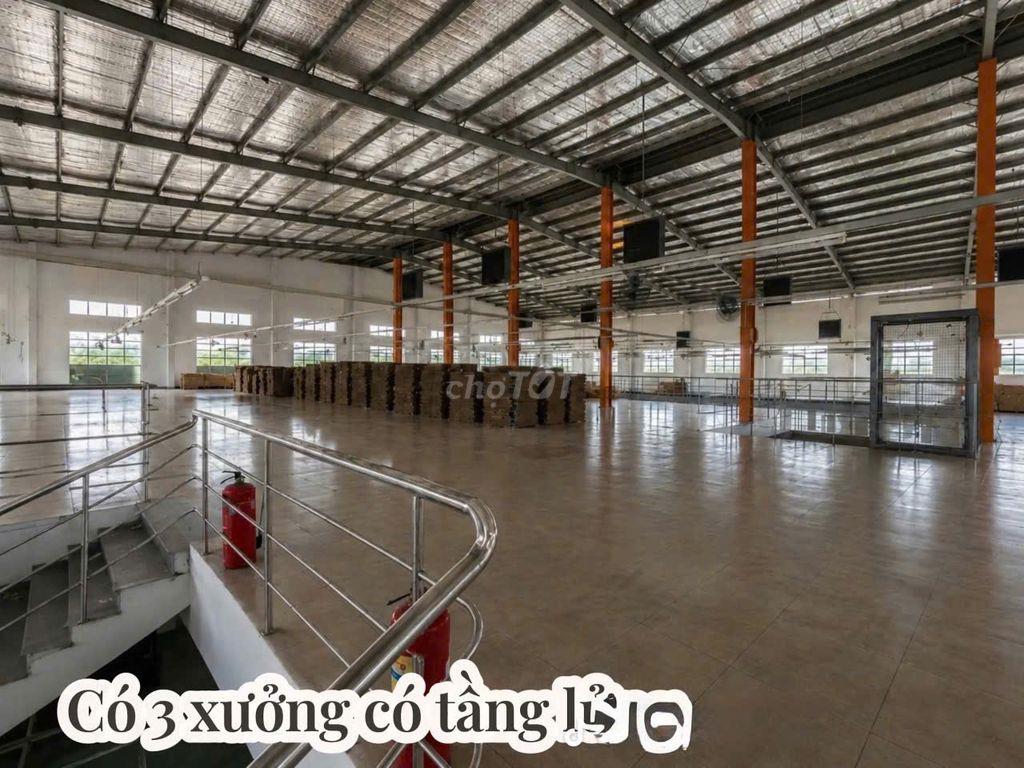 CHO THUÊ CỤM NHÀ XƯỞNG BẾN LỨC LONG AN 25.000M² – GIÁ CHỈ 2,5 USD/M²