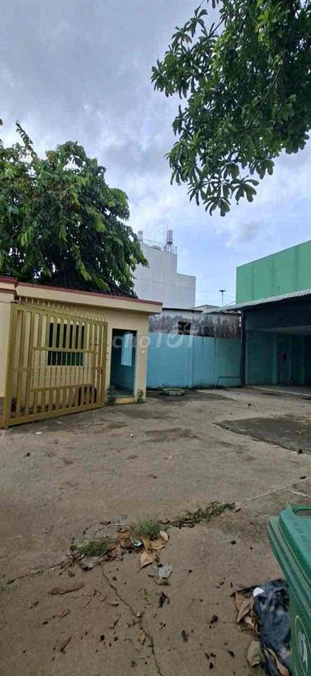 Cho Thuê Kho Xuân Thới Hóc Môn