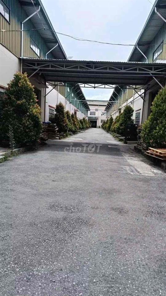 Cho Thuê kho Cụm Công Nghiệp Mỹ Hạnh long An