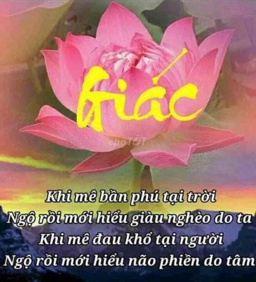 cho thuê kho 10x50 khu trung sơn giá rẻ