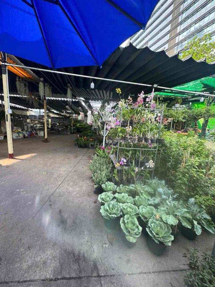 cho thuê mặt bằng mặt tiền Nguyễn Văn Linh 10x35 giá 35 tr