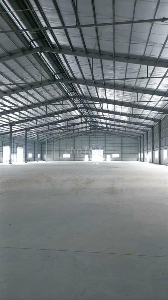 Cho thuê kho Xưởng Mới đẹp 300 triệu, 4.000m mặt tiền Trần Đại Nghĩa