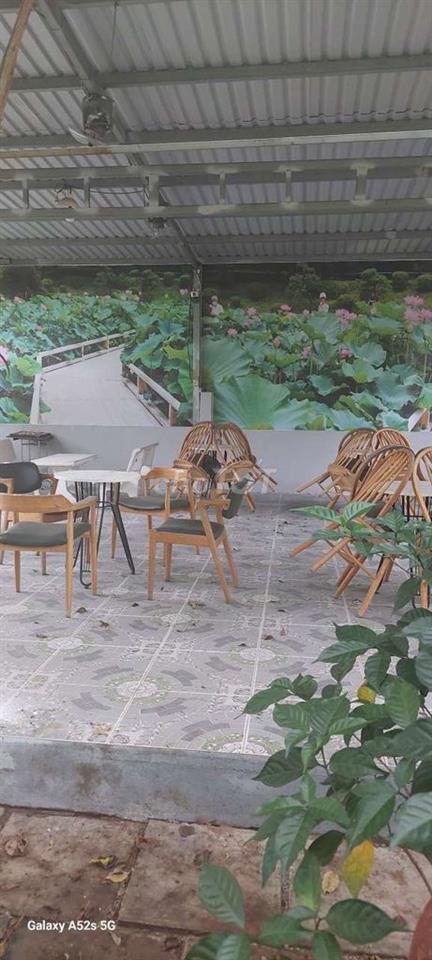 Cho thuê quán cafe sân vườn tại Bình Hưng, Bình Chánh