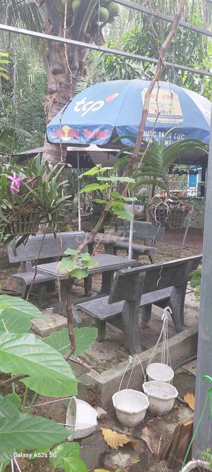 Cho thuê quán cafe sân vườn tại Bình Hưng, Bình Chánh
