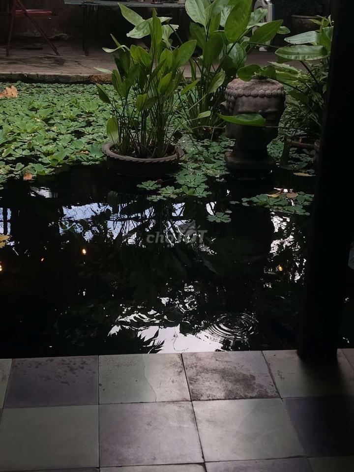 Mặt bằng cần cho thuê gấp