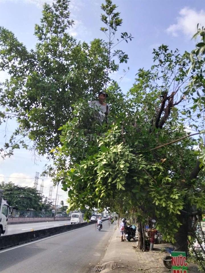 CẦN BÁN HƠN HAI CÔNG ĐẤT TÂN PHƯỚC TIỀN GIANG 