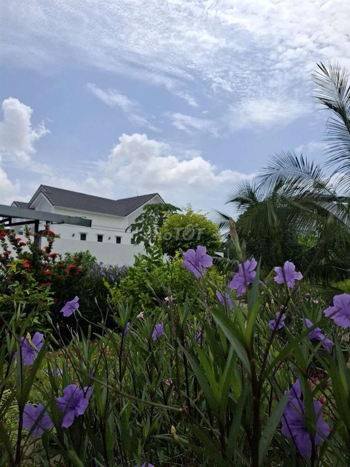 🔥C. Chủ. GIÁ SÀN 330M² THỔ CƯ + VILLA MẶT TIỀN Đ.SONG HÀNH QL22.12,9 Đ