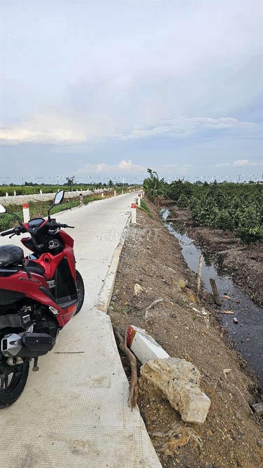 1.000 m2 đất vườn đẹp đường oto
