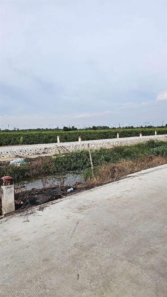 1.000 m2 đất vườn đẹp đường oto