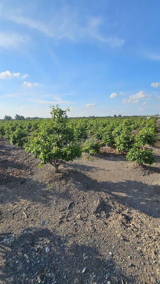 1.200m2 mặt tiền đường nhựa có điện 3fa 