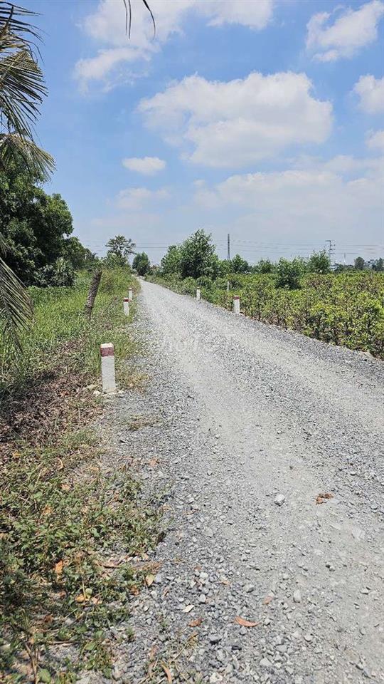 1ty700 triệu 1 công có 2.390m2