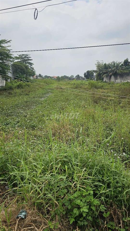 1ty700 triệu 1 công có 2.390m2