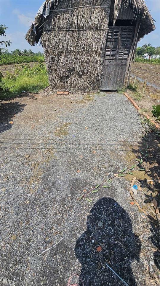 850m2 đất vườn có sẵn nhà lá