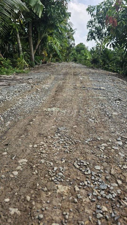 1ty550 triệu cho 1.000m2 đất trồng mai