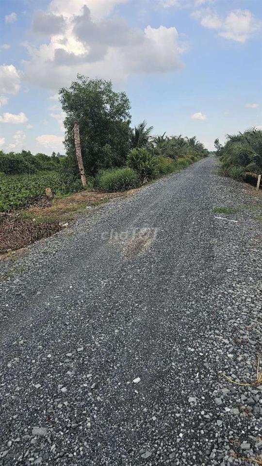 Đất 1,8 tỷ 1 công chuẩn bị làm đường nhựa 