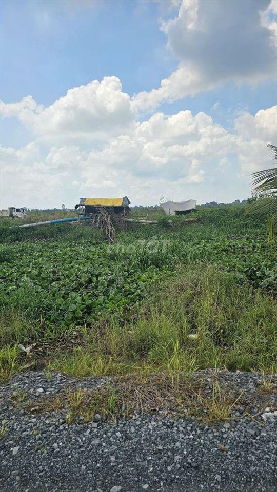 Đất 1,8 tỷ 1 công chuẩn bị làm đường nhựa 
