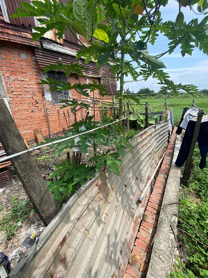 bán đất Bình Chánh