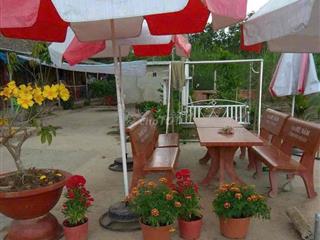 bán đất bình chánh 2000m2 kênh 5. sau trường tiểu học bình lợi