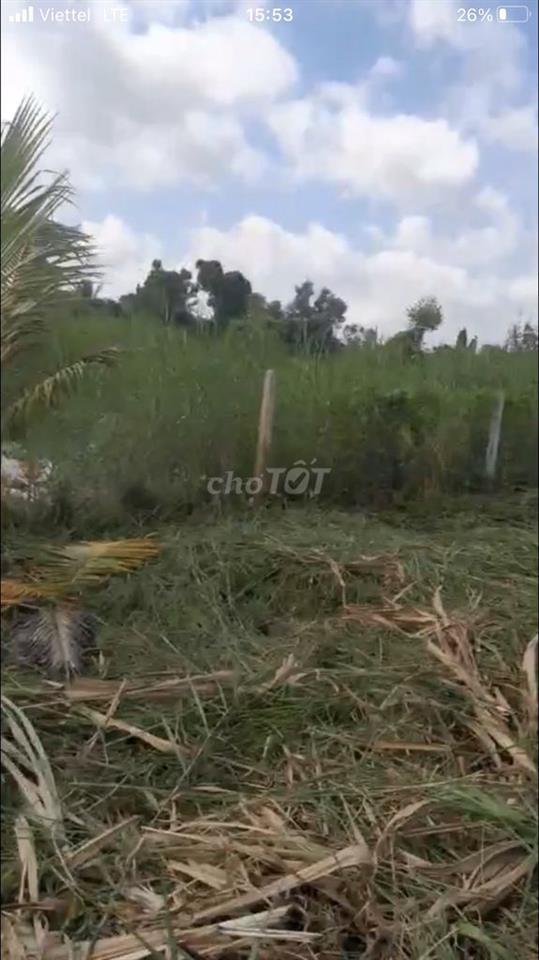 Cần vốn nên bán đất