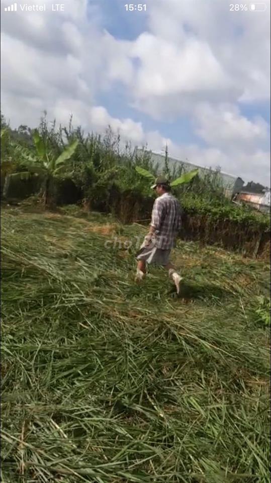 Cần vốn nên bán đất