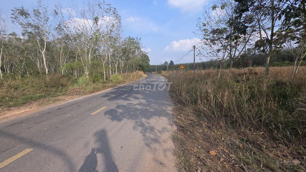 Bán đất MT DH619, 4,5 tỷ TL, DT đất 1.620m2 có 300m2 đất XD, MG 2%