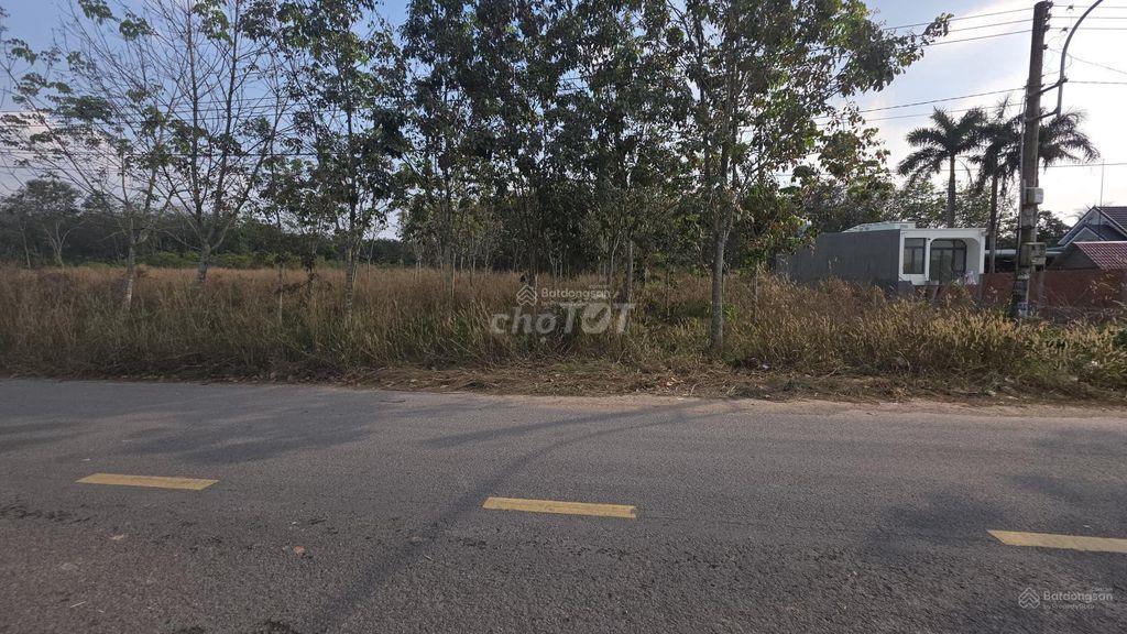 Bán đất MT DH619, 4,5 tỷ TL, DT đất 1.620m2 có 300m2 đất XD, MG 2%