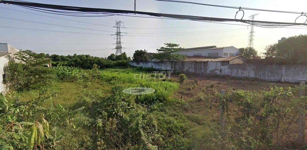 Đất trồng cây lâu năm - S hơn 1000m2