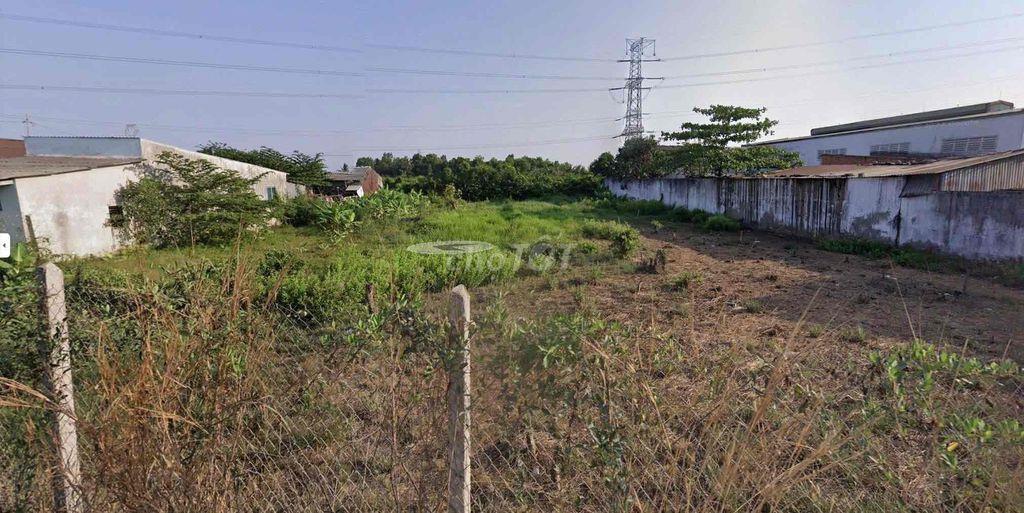 Đất trồng cây lâu năm - S hơn 1000m2