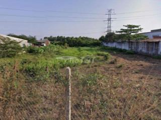 Đất trồng cây lâu năm - S hơn 1000m2