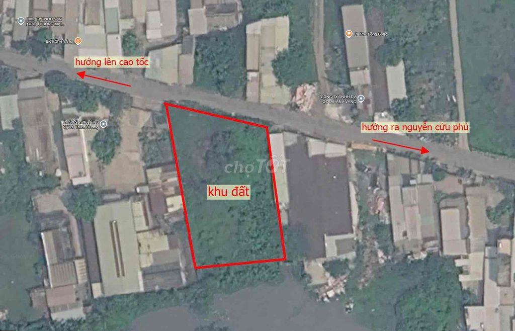 Đất trồng cây lâu năm - S hơn 1000m2