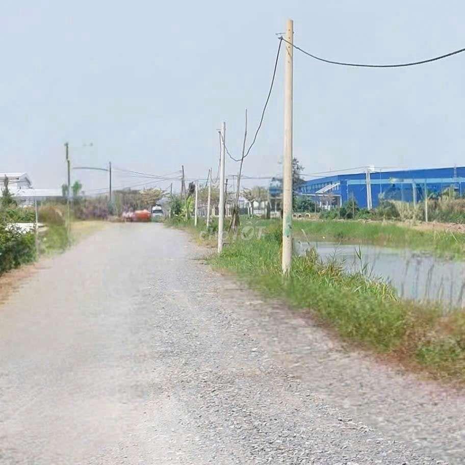cho thuê 9500m2 đất vườn MT kênh Đường Vườn Thơm xã Bình Lợi HBC 