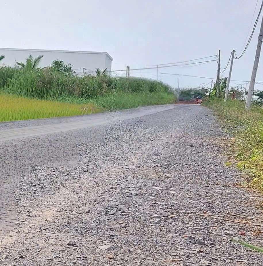 cho thuê 9500m2 đất vườn MT kênh Đường Vườn Thơm xã Bình Lợi HBC 