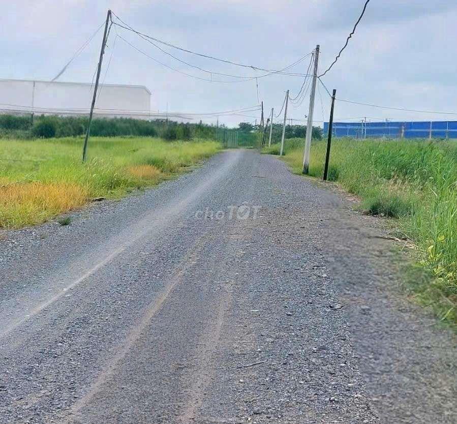 cho thuê 9500m2 đất vườn MT kênh Đường Vườn Thơm xã Bình Lợi HBC 