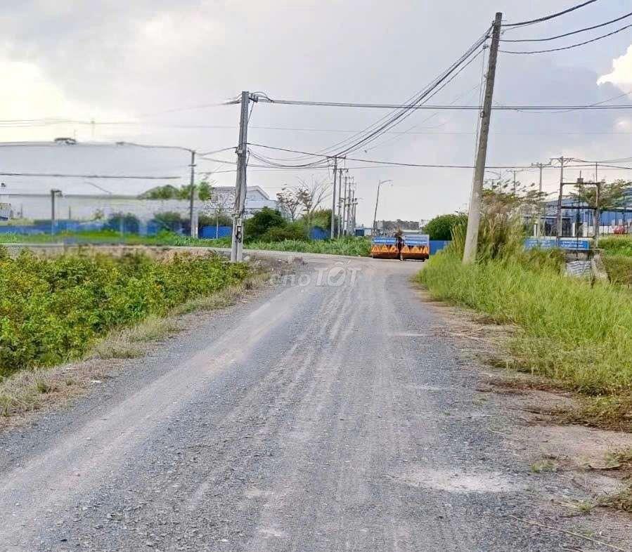 cho thuê 10000m2 đất vườn (HNK) MT kênh Đường Vườn Thơm xã Bình Lợi 