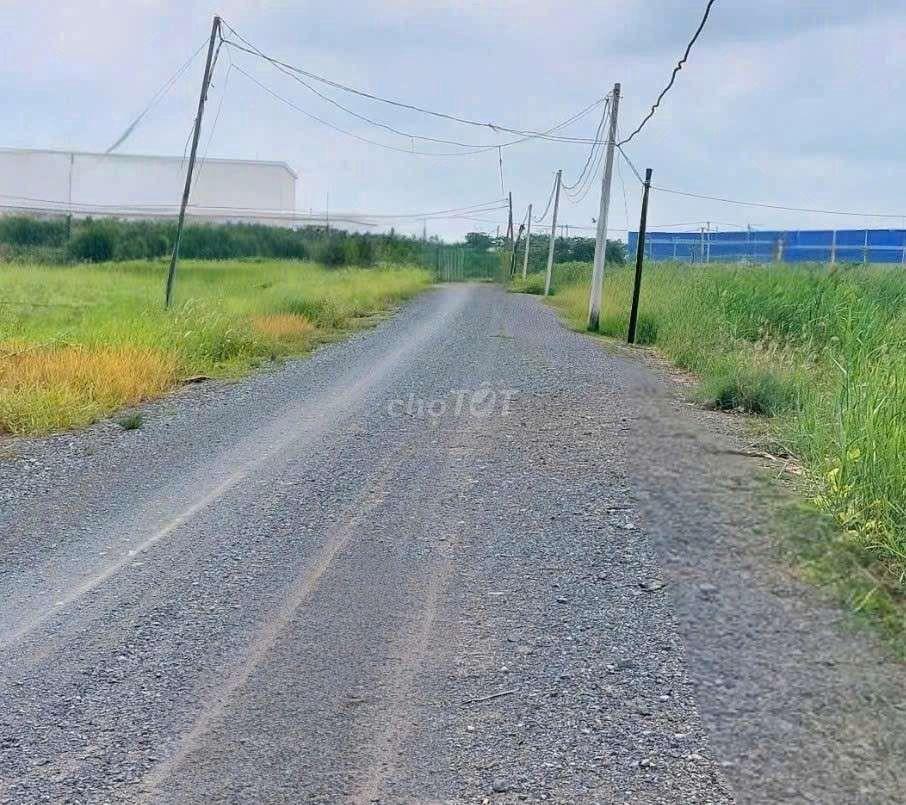 cho thuê 10000m2 đất vườn (HNK) MT kênh Đường Vườn Thơm xã Bình Lợi 