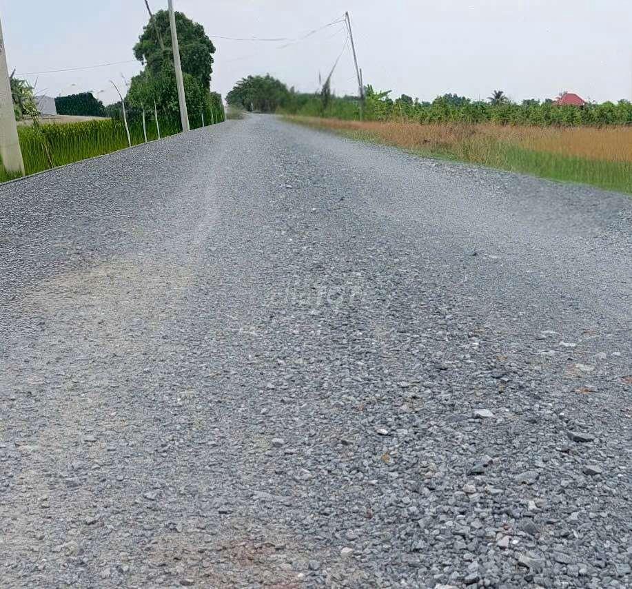 cho thuê 10000m2 đất vườn (HNK) MT kênh Đường Vườn Thơm xã Bình Lợi 