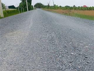 cho thuê 10000m2 đất vườn (HNK) MT kênh Đường Vườn Thơm xã Bình Lợi 