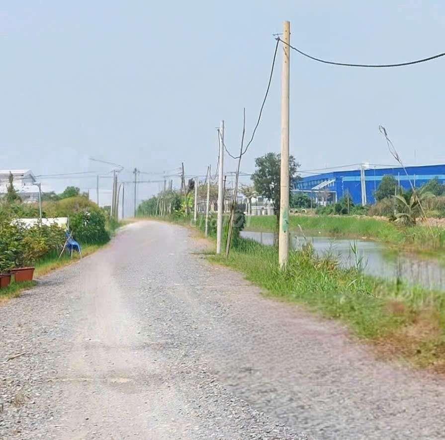 cho thuê 10000m2 đất vườn (HNK) MT kênh Đường Vườn Thơm xã Bình Lợi 